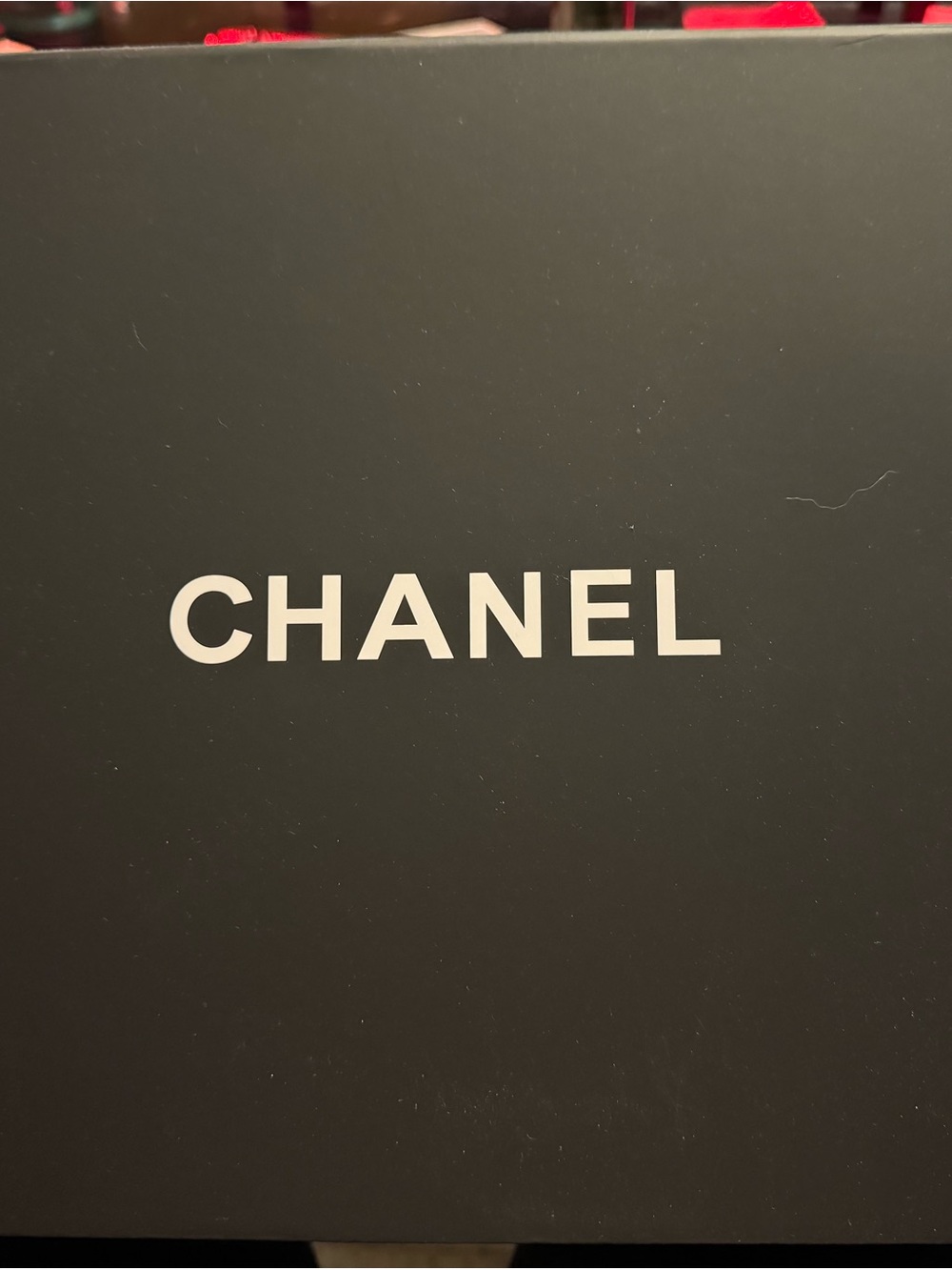 CHANEL LARGE MAGNETIC CLOSURE BOX